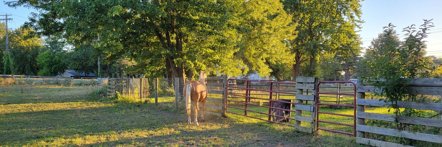 ツ Hunterprobss banner