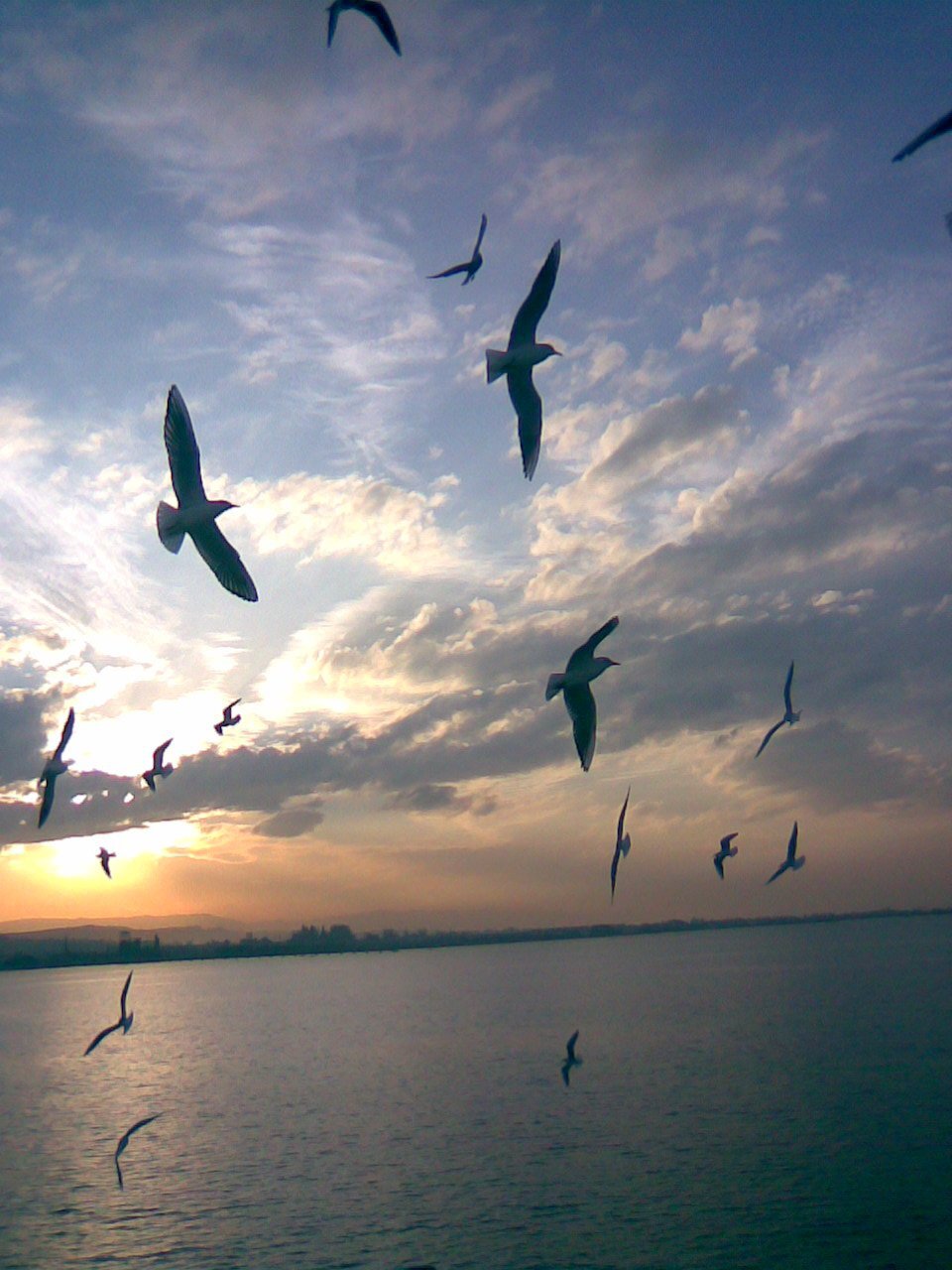 Ozan_Demiralp's profile banner image