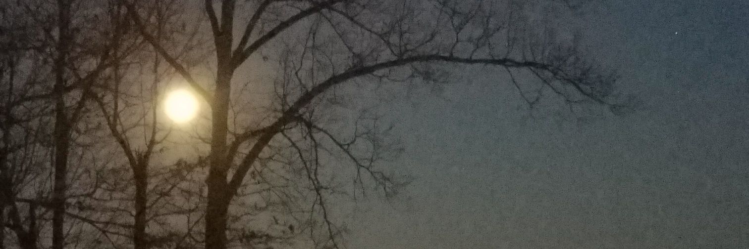 RachelPotts3's profile banner image