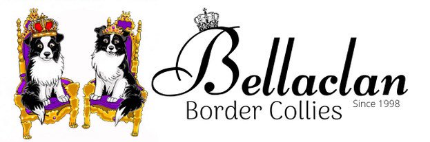 Bellaclan's profile banner image