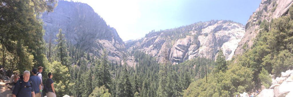 Megan Rietema banner