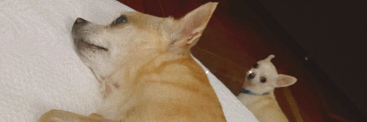 SusiQuintero2's profile banner image