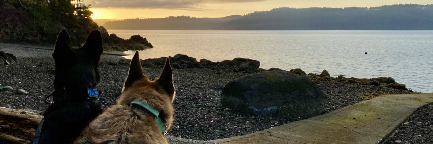 JoshHasDogs's profile banner image