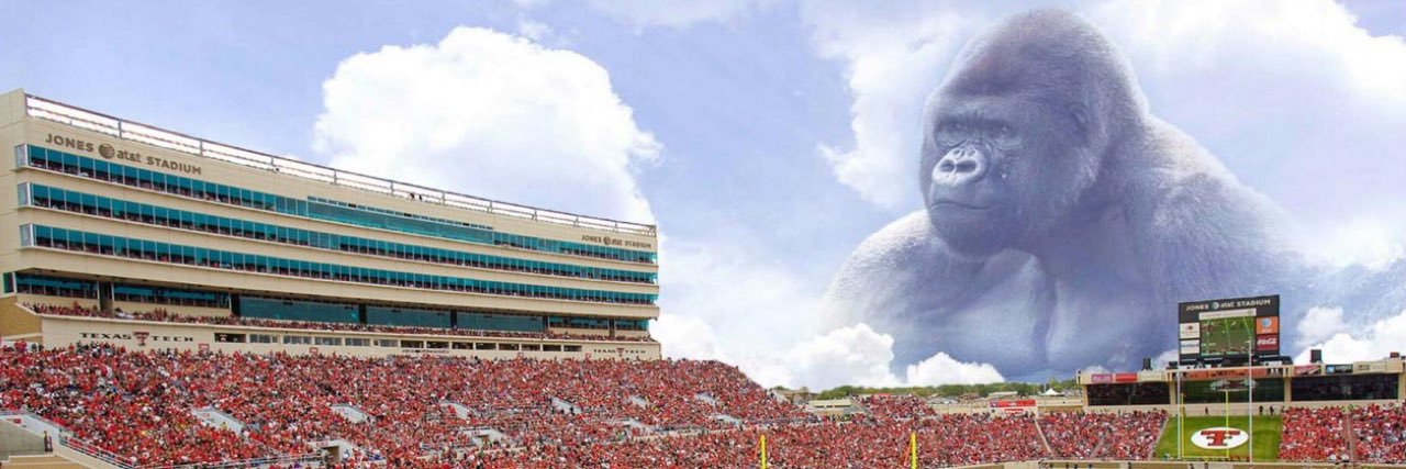VincentAtchison's profile banner image
