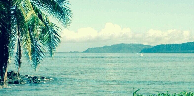Paulitaznar's profile banner image