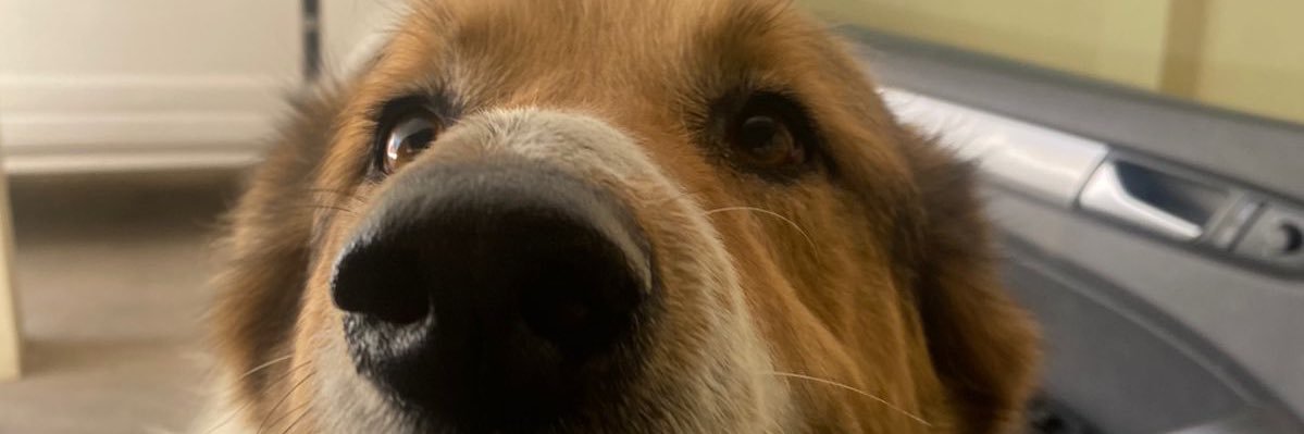 AIHC_'s profile banner image