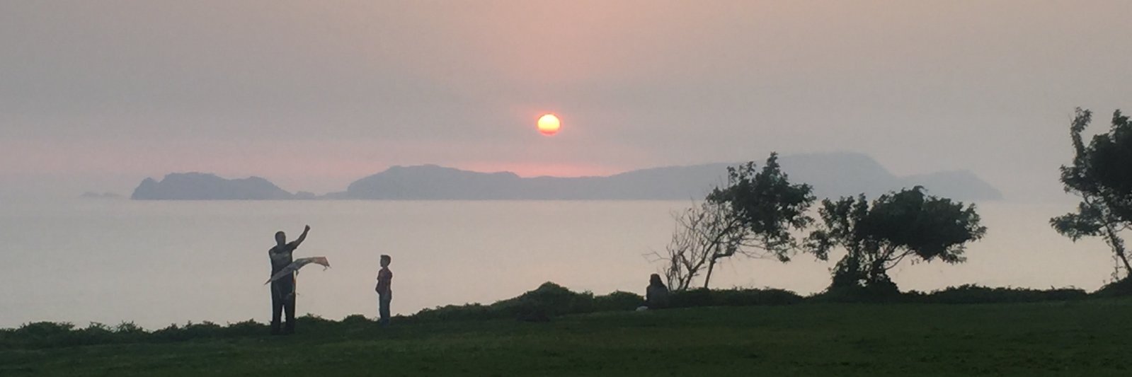 Patricia Barrios banner