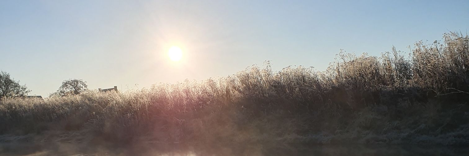 Benassi1988's profile banner image