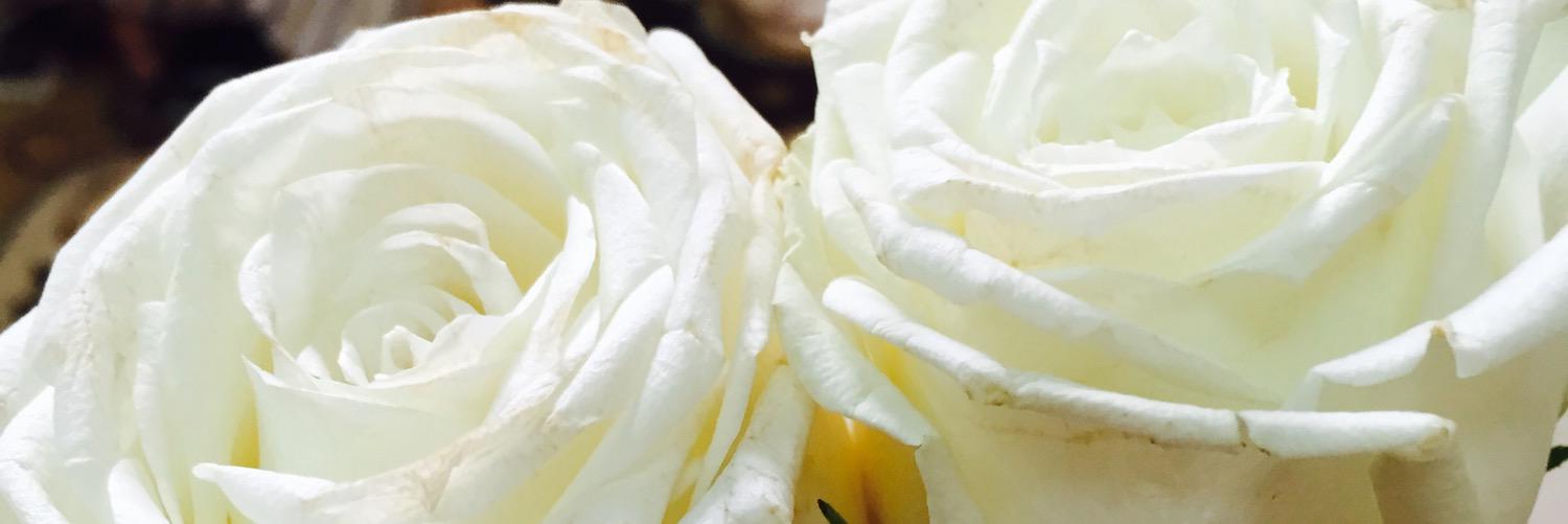 R_refal's profile banner image