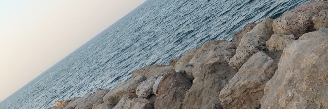 sea_1400's profile banner image