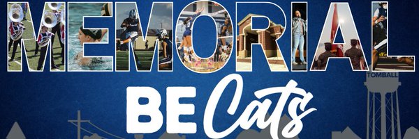 TISDTMHS Profile Banner