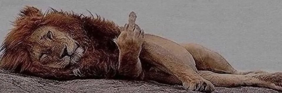 Mattress Monkey banner