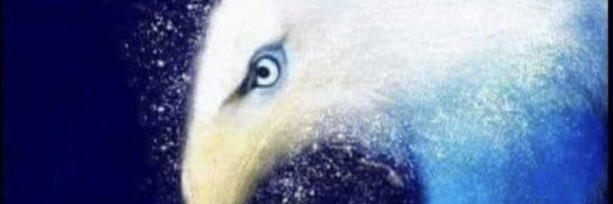 RachelLikover's profile banner image