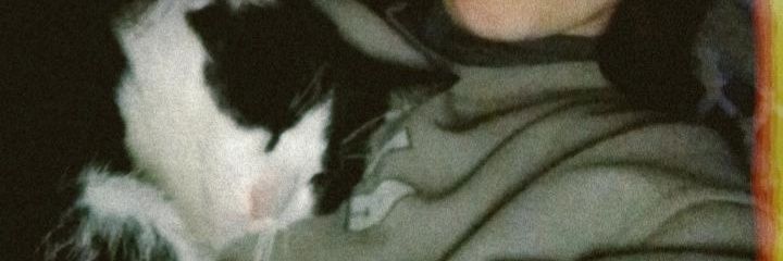 Katherineeveron's profile banner image
