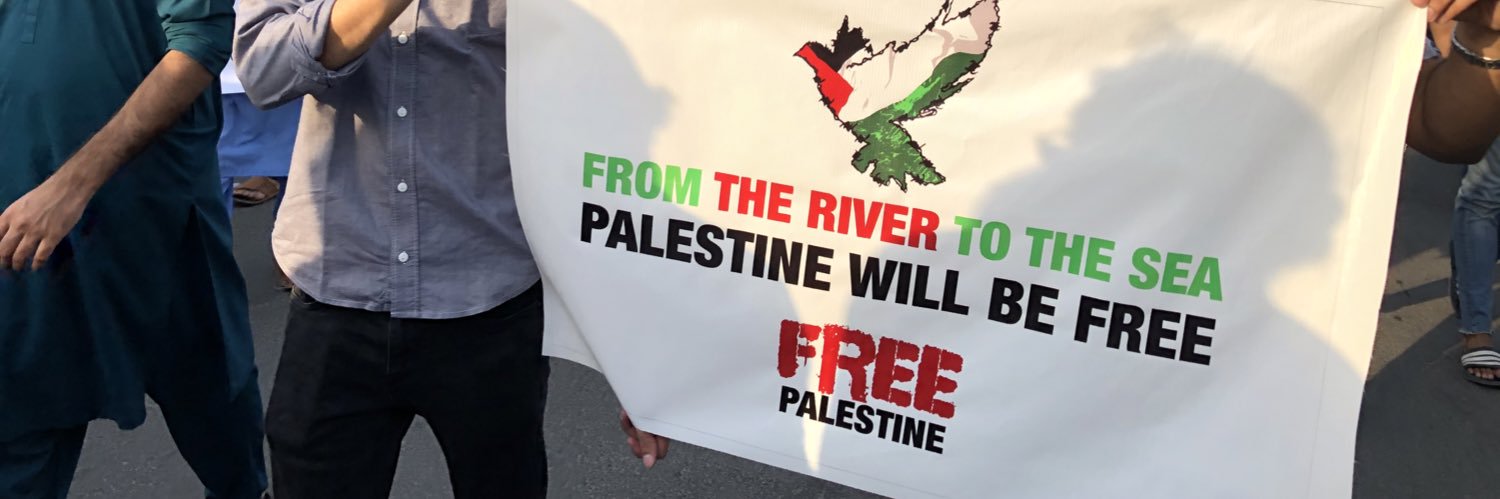 ironside🇵🇸 banner