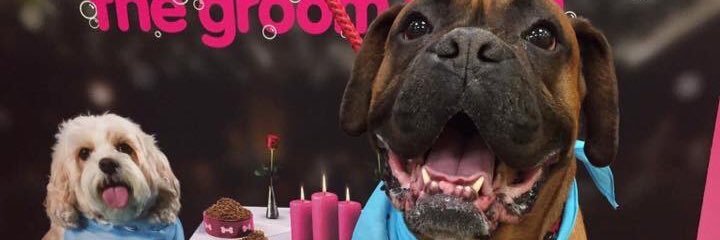 zoee_roberts's profile banner image