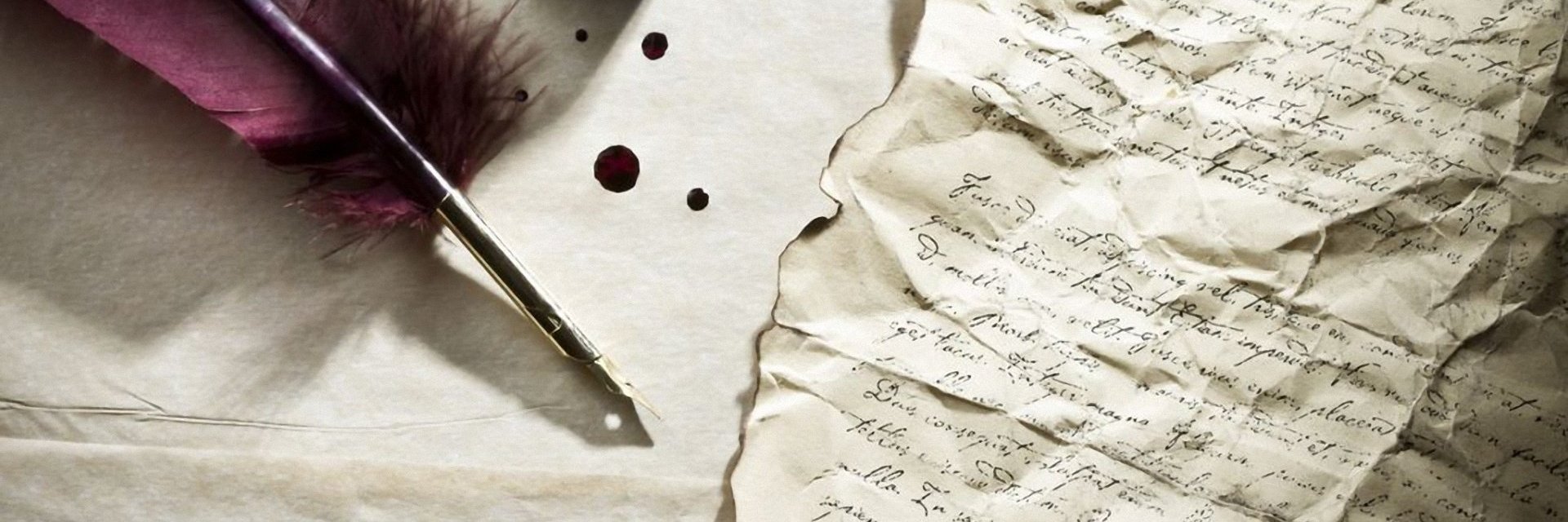 DunjaK8's profile banner image
