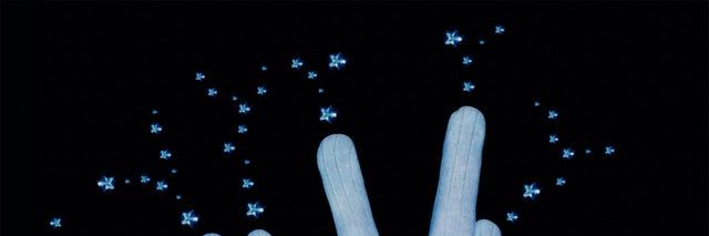 fffiorel's profile banner image