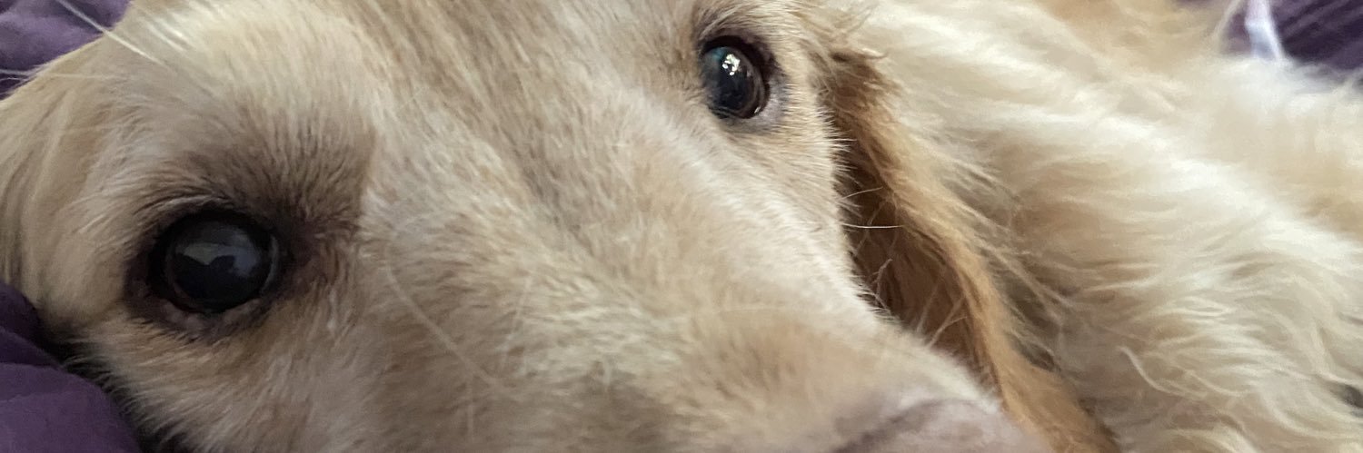 KeatingMeaghan's profile banner image