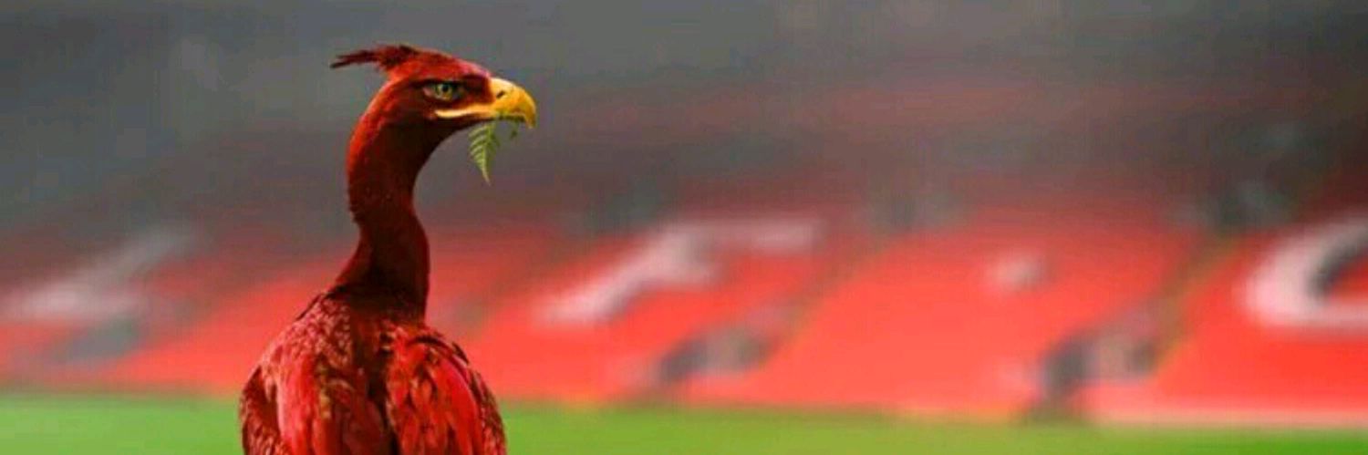 MEXCANPORKSWORD's profile banner image