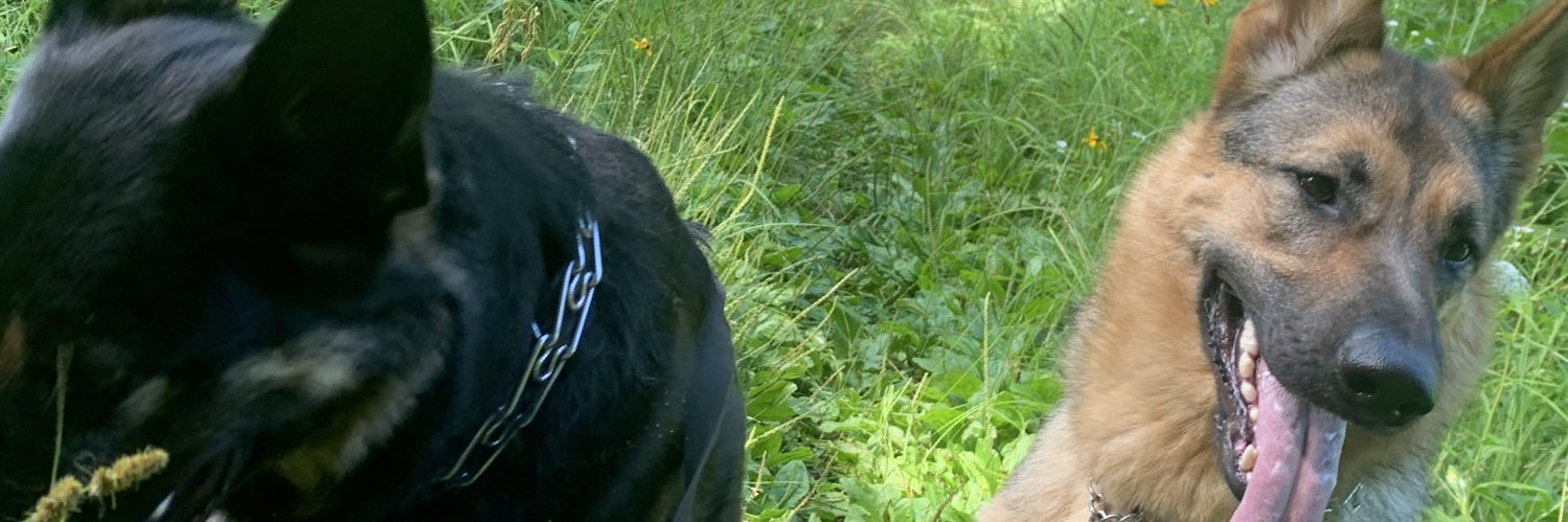 Jakerohloff's profile banner image