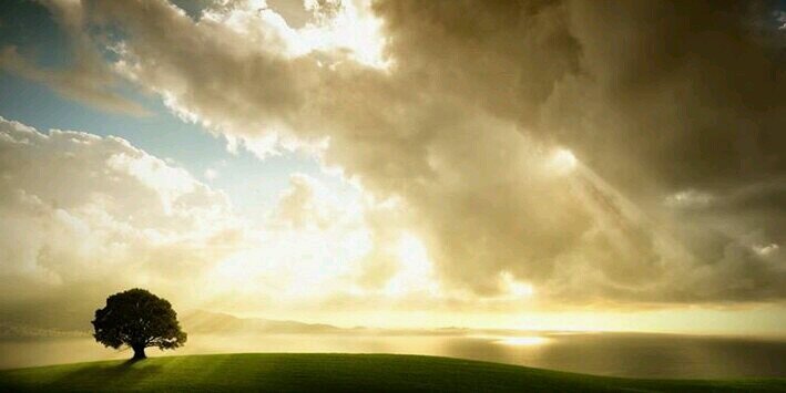 Shubh_Vicharak's profile banner image