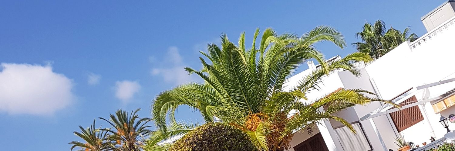 a1sharonwilde's profile banner image