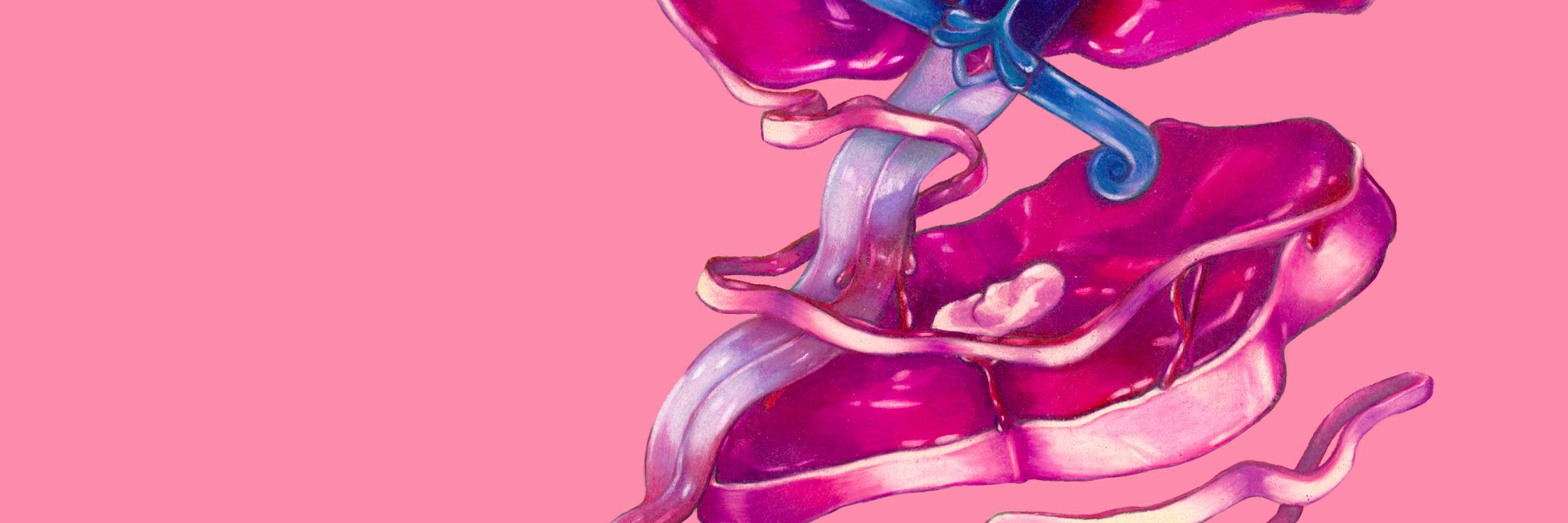 my little pony soprano banner