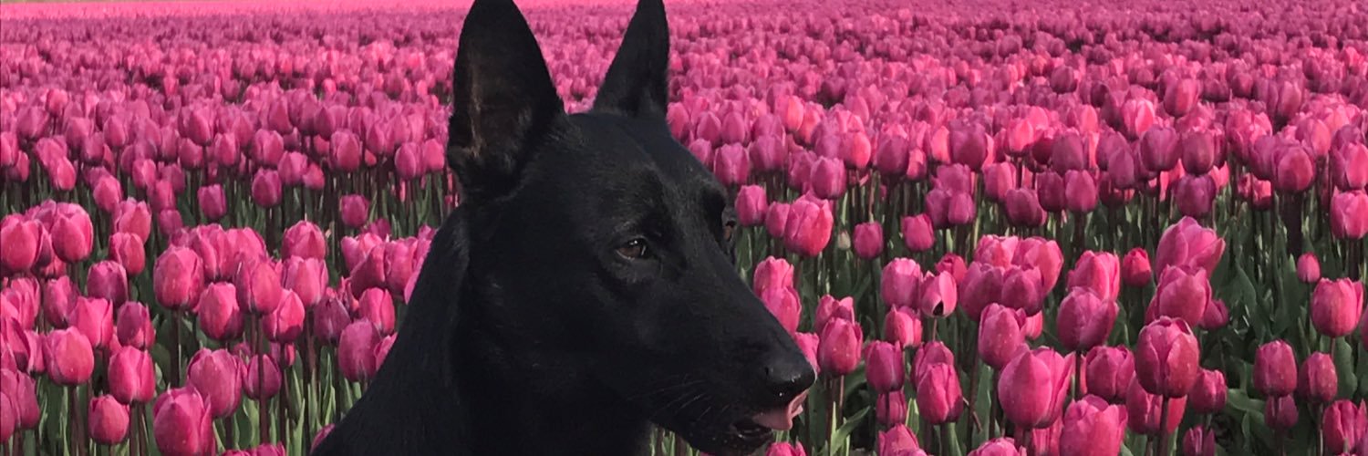 takelbob's profile banner image