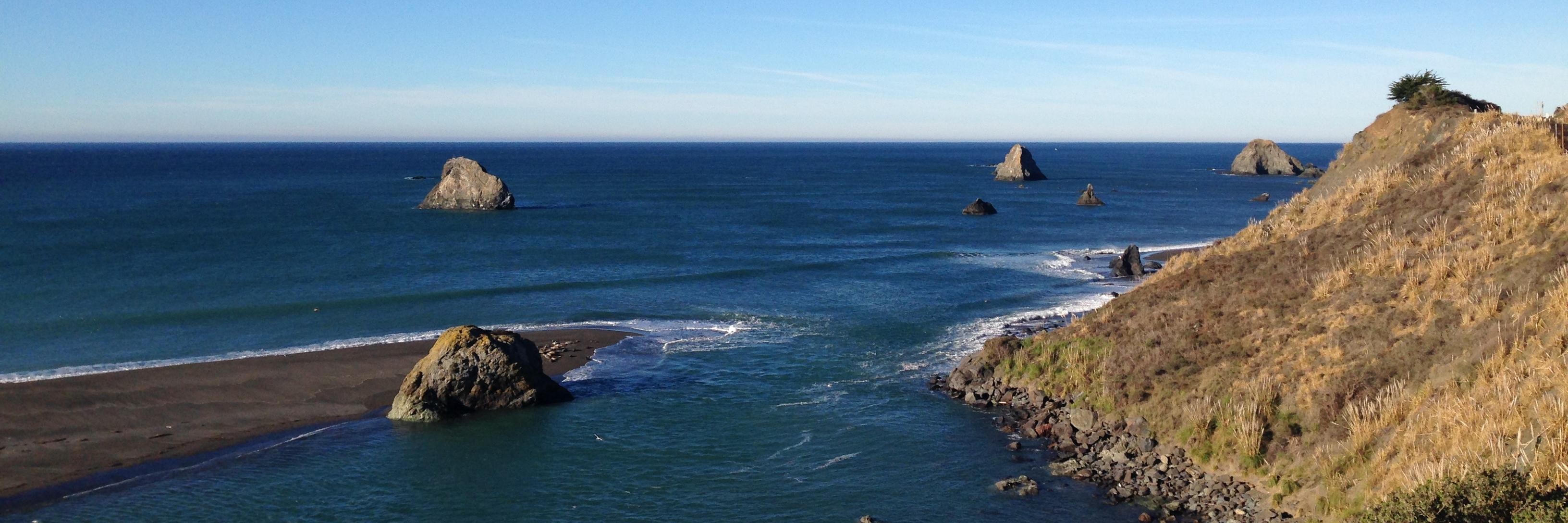 Noelle Engle-Hardy banner