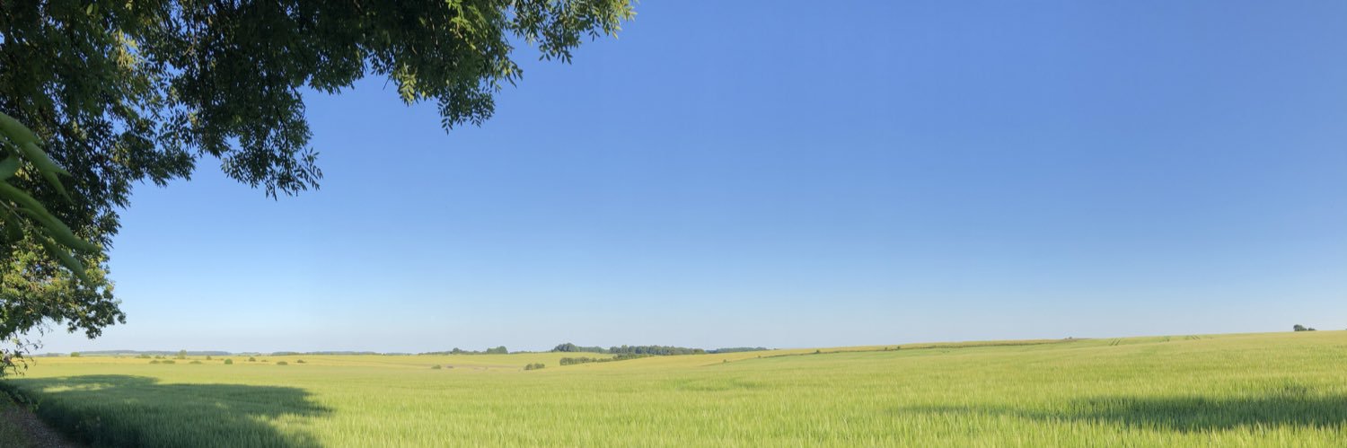 ableindy21's profile banner image