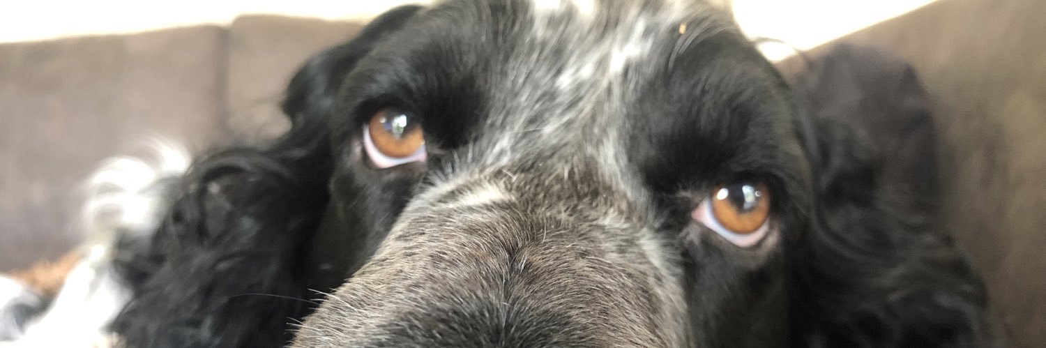 kdyle761's profile banner image