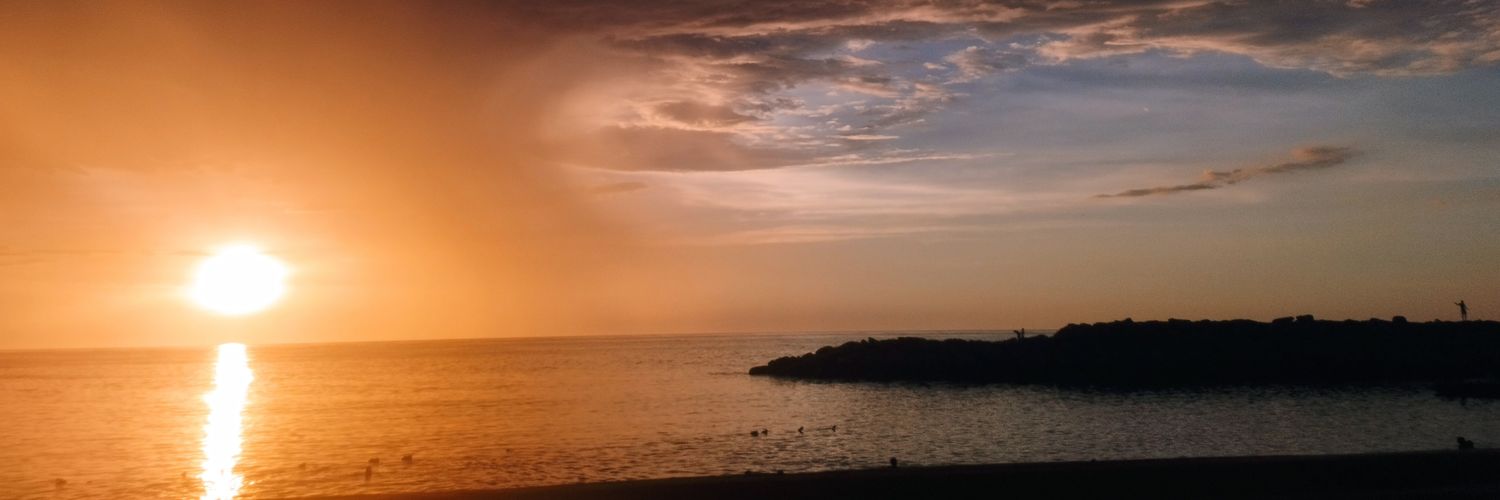 Rosi☀️ banner