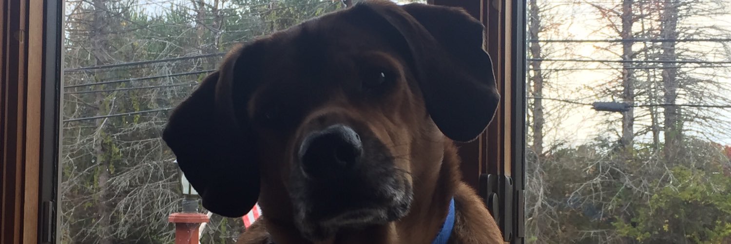 Maggie_Mo_Bean's profile banner image
