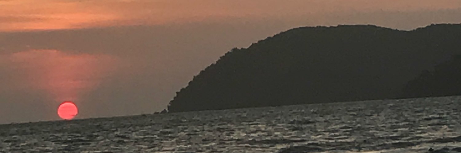 MrsRStevenson99's profile banner image