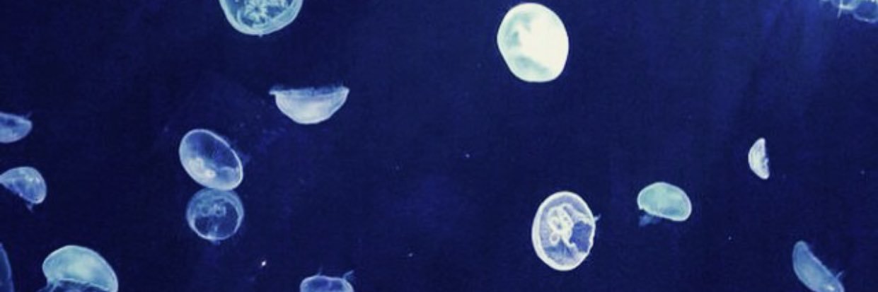 rawabialth's profile banner image