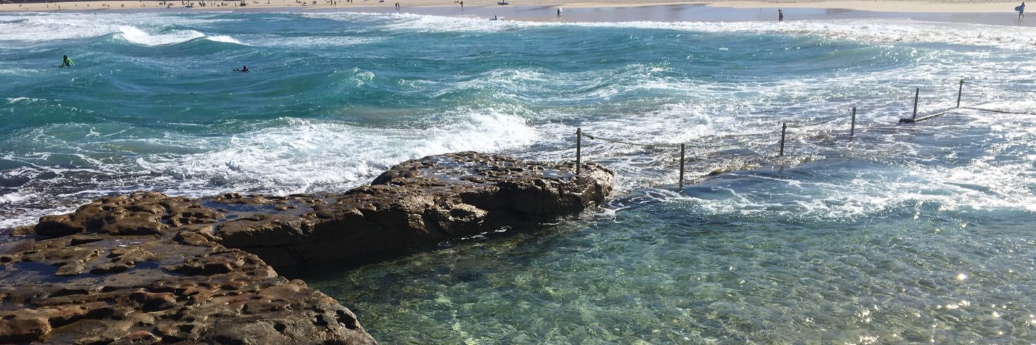 Marcelle Braithwaite banner