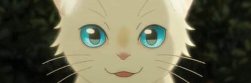 micahollanda's profile banner image