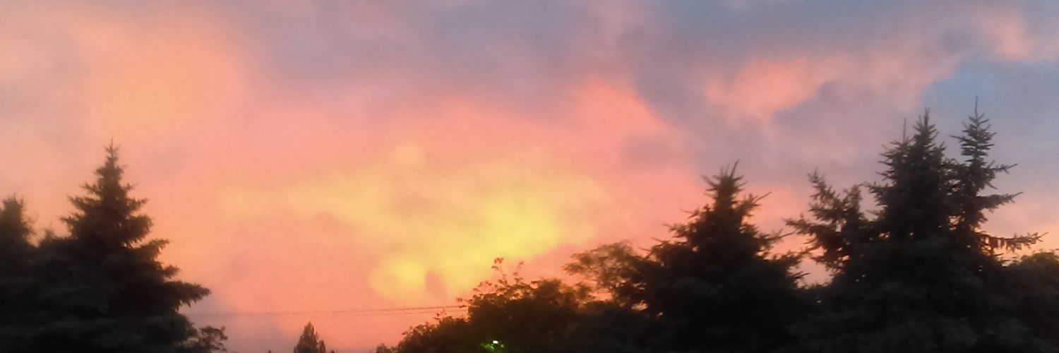 laditz89's profile banner image