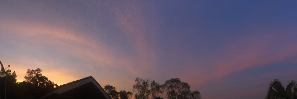 Raquelr_'s profile banner image