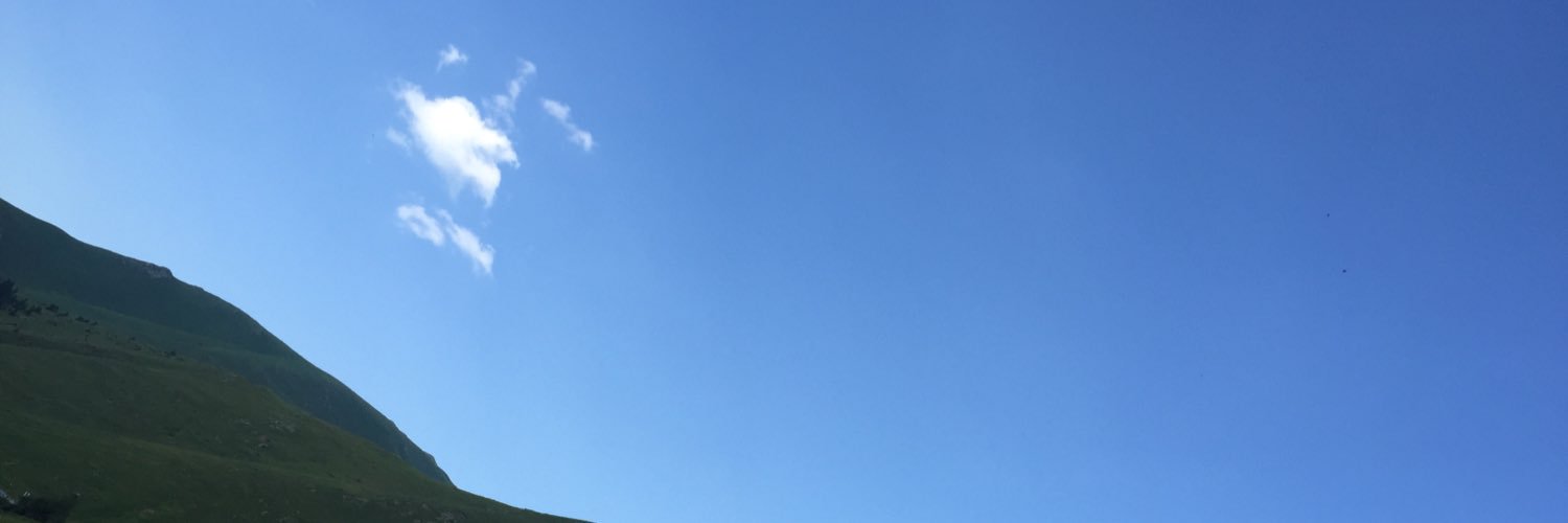 mo1mo9's profile banner image