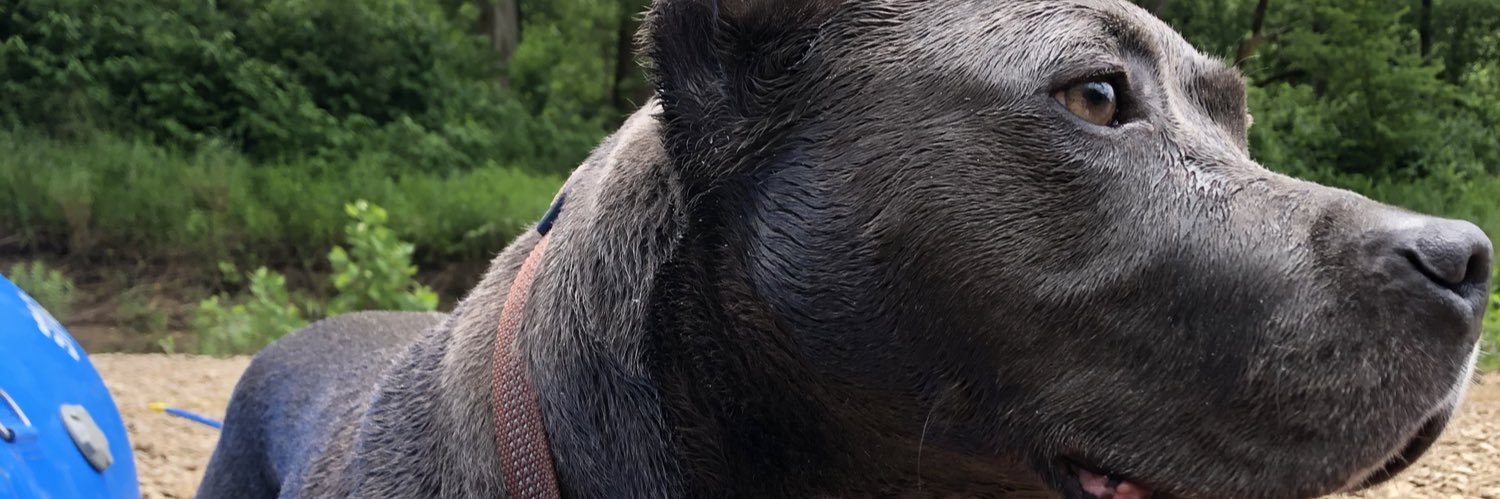 DevonDisch's profile banner image