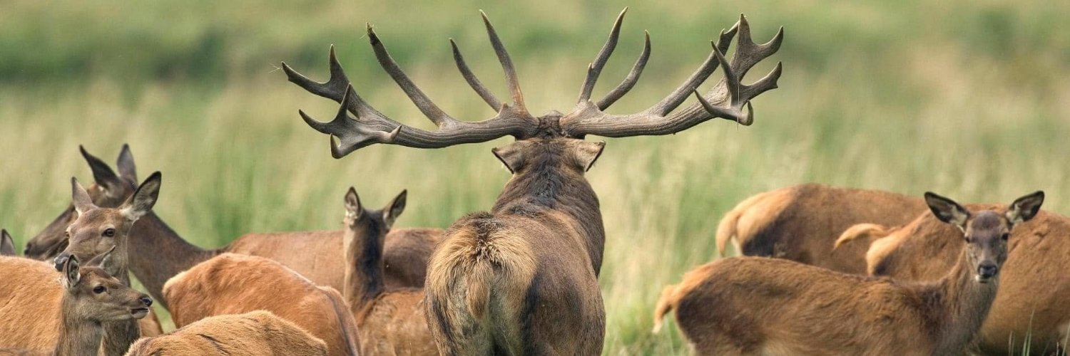 TheHuntingGrnds's profile banner image