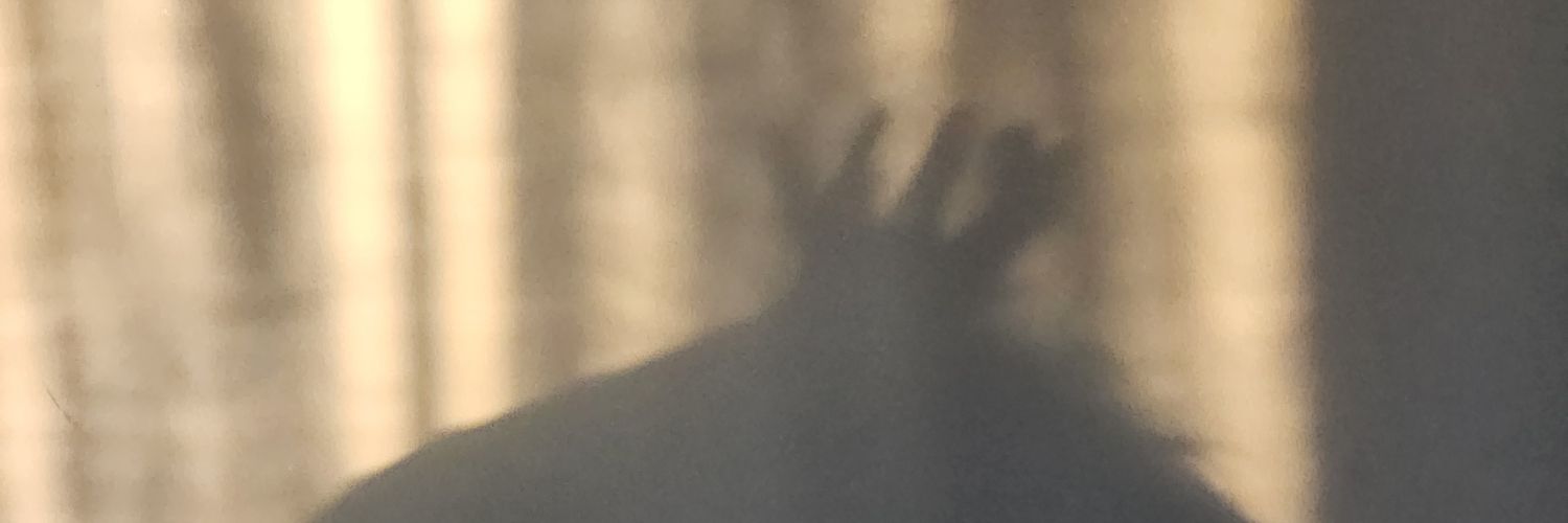 oshovosho's profile banner image