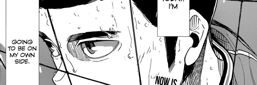 lilly face banner