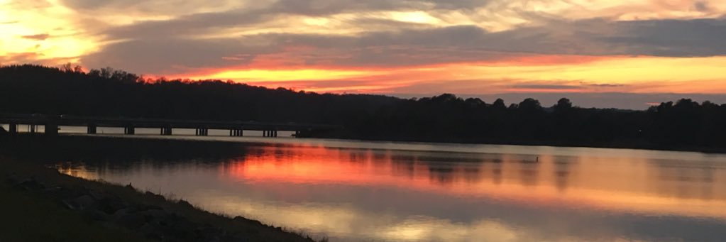 meghanmurph99's profile banner image