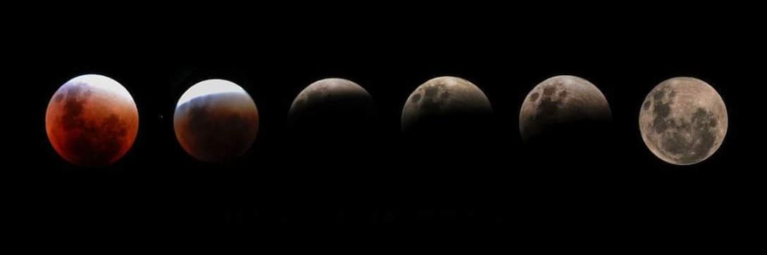 NelsonLera1's profile banner image