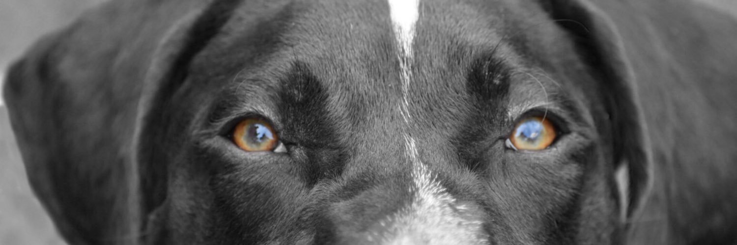 HunterMorgan01's profile banner image