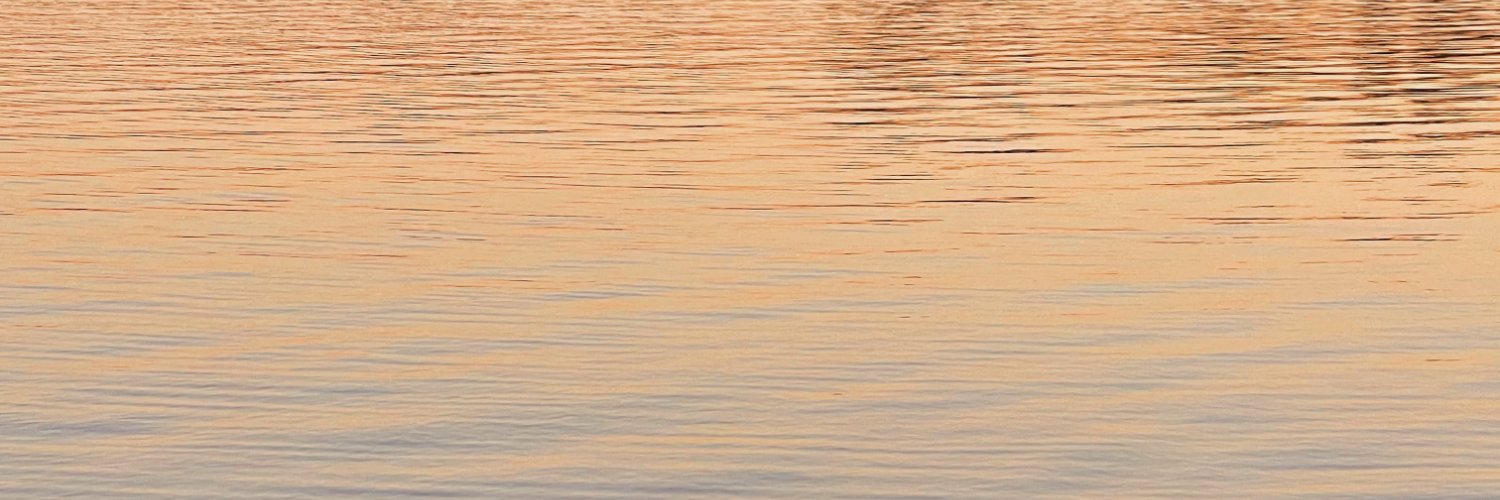 Jemima Varughese banner