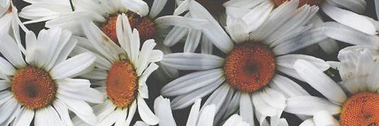 FlashbackMF's profile banner image